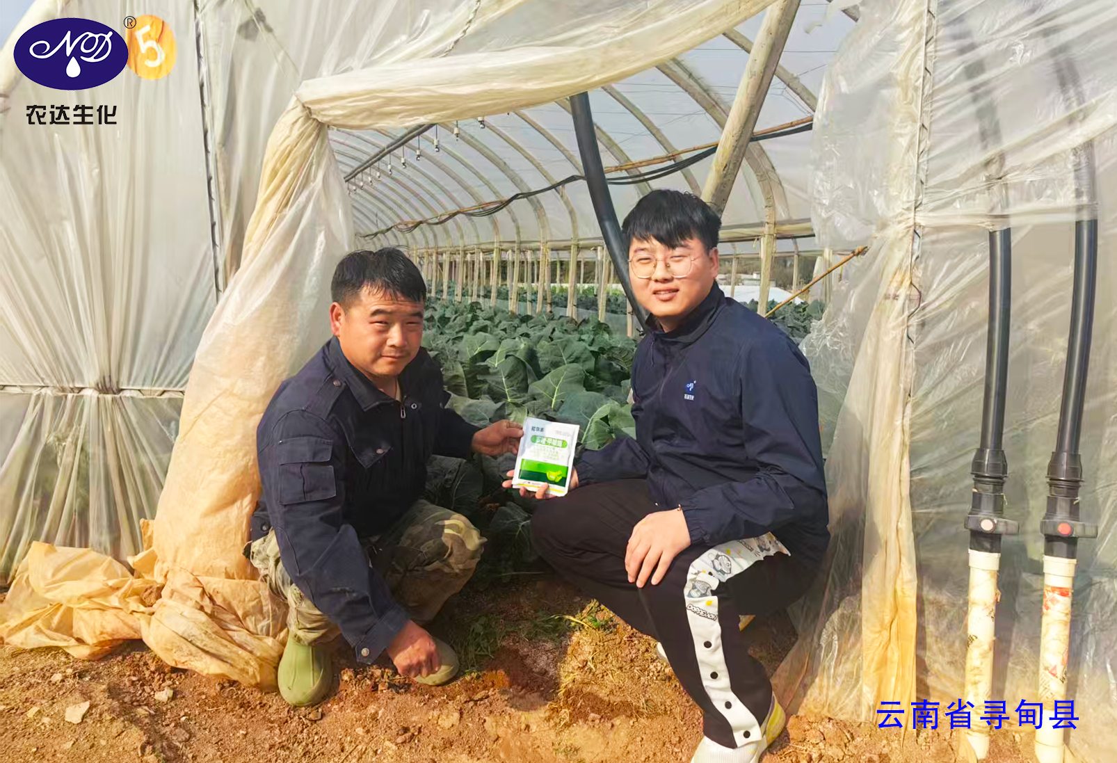 燈火鬧元宵 實幹護良田！(圖2)