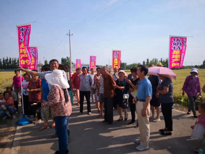 Observation on the Effect of Wheat Yield Increase of Younaite(圖（tú）5)