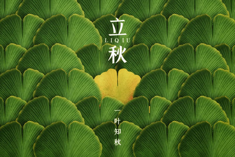 今日立(lì)秋(圖2) 今日立秋(圖2)
