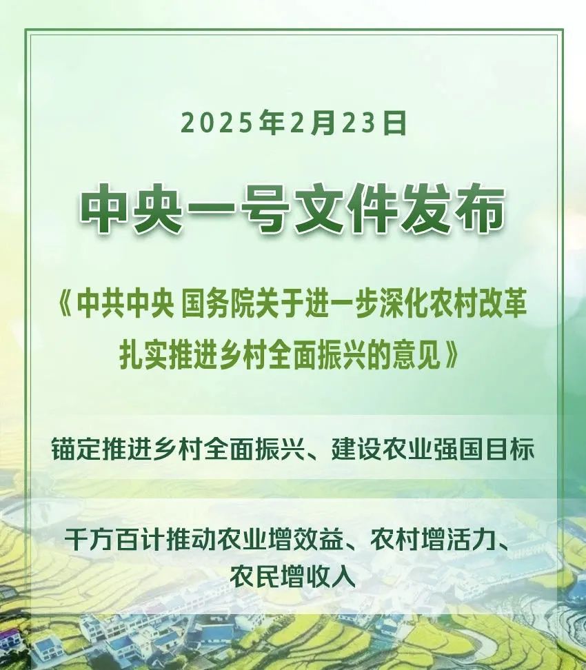 2025年中央(yāng)一號文件(全文)(圖1) 2025年(nián)中央一號文件(全文)(圖1)