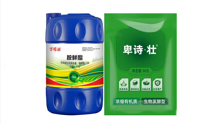 別人滿樹柑橘大果,自(zì)家果子小又花,差距全(quán)在夏天(tiān)!(圖5) 別人(rén)滿樹柑橘大果,自家(jiā)果子小又花,差距全在夏天!(圖5)