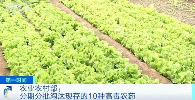 農業農村部:3年內(nèi)淘汰這10種高毒(dú)農藥, 重點治理豇豆、韭菜、芹菜(cài)農殘超標(圖1) 農(nóng)業(yè)農村部:3年內淘汰這10種(zhǒng)高毒農藥, 重點治(zhì)理豇豆、韭菜、芹菜農殘超標(圖1)